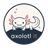 Axolotl IT